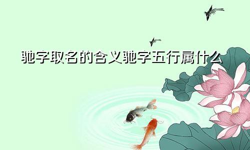 驰字取名的含义驰字五行属什么