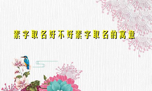 素字取名好不好素字取名的寓意
