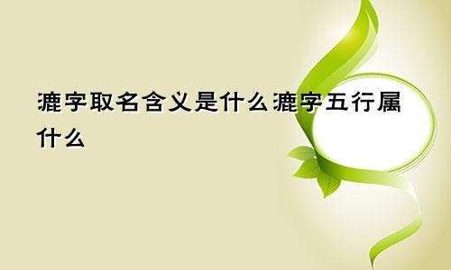 漉字取名含义是什么漉字五行属什么