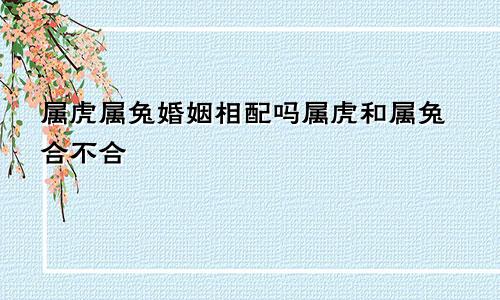 属虎属兔婚姻相配吗属虎和属兔合不合