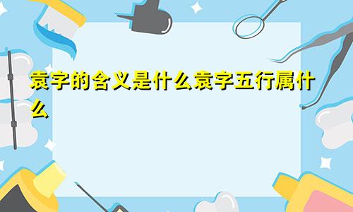 袁字的含义是什么袁字五行属什么