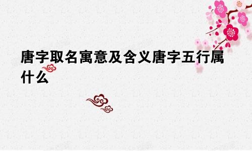 唐字取名寓意及含义唐字五行属什么