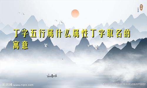 丁字五行属什么属性丁字取名的寓意