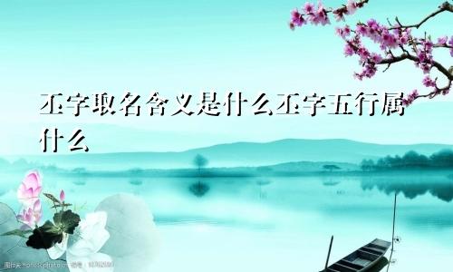 丕字取名含义是什么丕字五行属什么