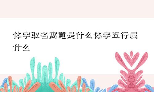 体字取名寓意是什么体字五行属什么