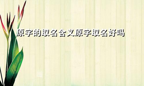 原字的取名含义原字取名好吗
