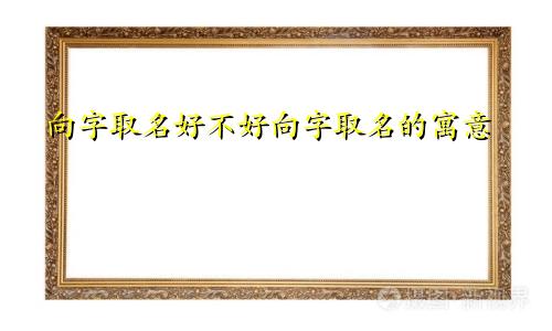 向字取名好不好向字取名的寓意