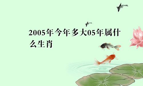 2005年今年多大05年属什么生肖