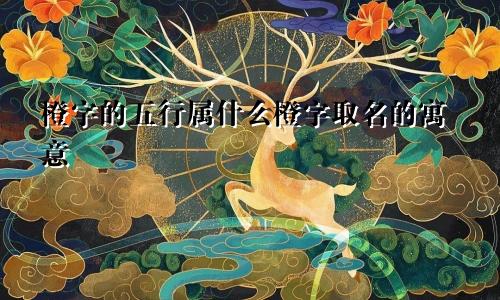 橙字的五行属什么橙字取名的寓意