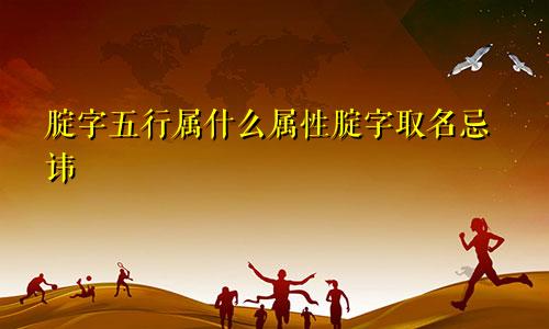 腚字五行属什么属性腚字取名忌讳