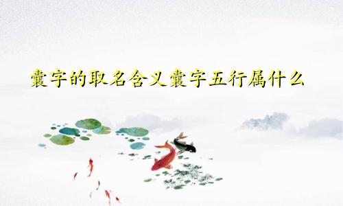 囊字的取名含义囊字五行属什么