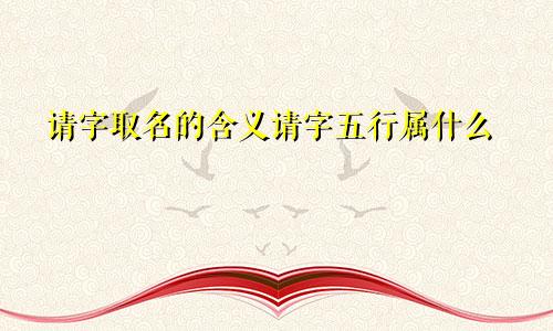 请字取名的含义请字五行属什么