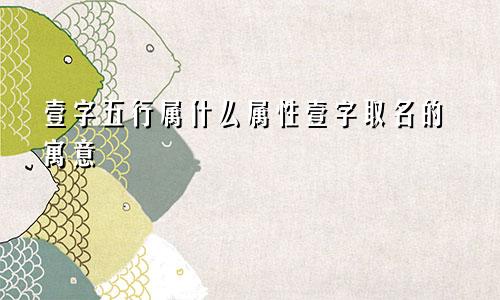 壹字五行属什么属性壹字取名的寓意