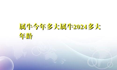 属牛今年多大属牛2024多大年龄