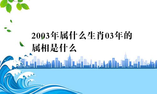 2003年属什么生肖03年的属相是什么