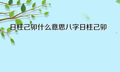 日柱己卯什么意思八字日柱己卯