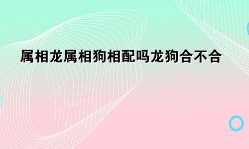 属相龙属相狗相配吗龙狗合不合