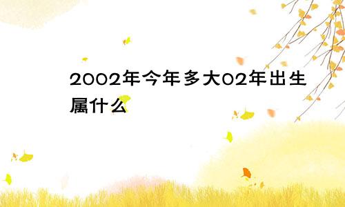 2002年今年多大02年出生属什么