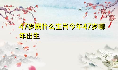 47岁属什么生肖今年47岁哪年出生