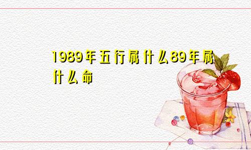 1989年五行属什么89年属什么命