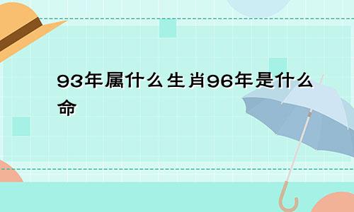 93年属什么生肖96年是什么命