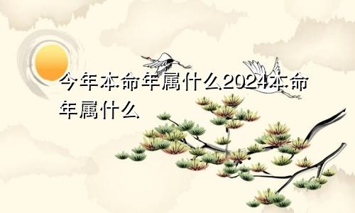 今年本命年属什么2024本命年属什么