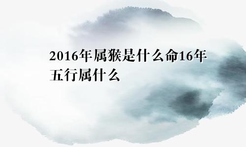 2016年属猴是什么命16年五行属什么