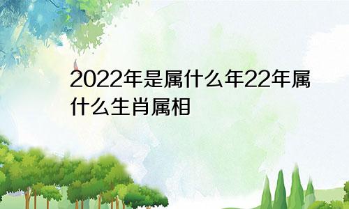 2022年是属什么年22年属什么生肖属相