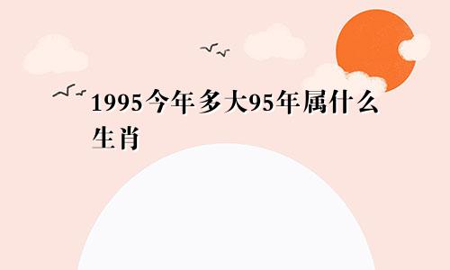 1995今年多大95年属什么生肖