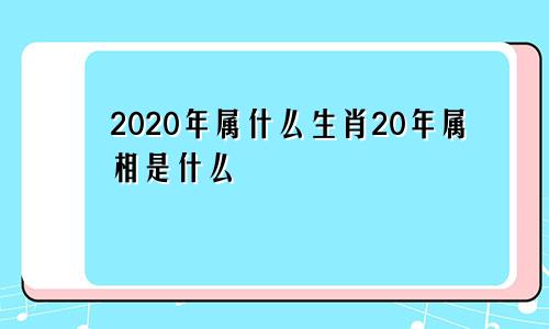 2020年属什么生肖20年属相是什么