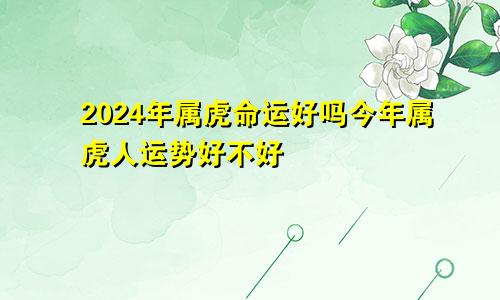 2024年属虎命运好吗今年属虎人运势好不好