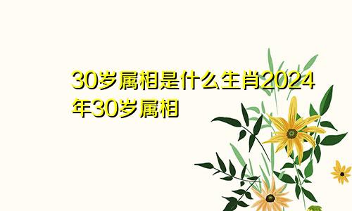 30岁属相是什么生肖2024年30岁属相