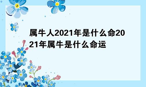 属牛人2021年是什么命2021年属牛是什么命运