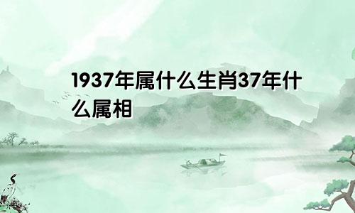 1937年属什么生肖37年什么属相