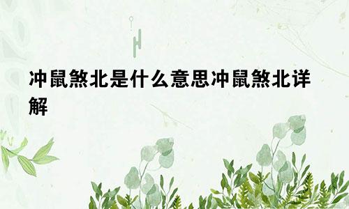 冲鼠煞北是什么意思冲鼠煞北详解