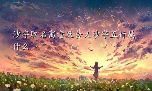 沙字取名寓意及含义沙字五行属什么
