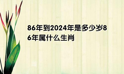 86年到2024年是多少岁86年属什么生肖