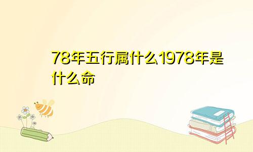 78年五行属什么1978年是什么命