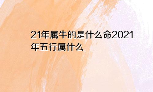 21年属牛的是什么命2021年五行属什么