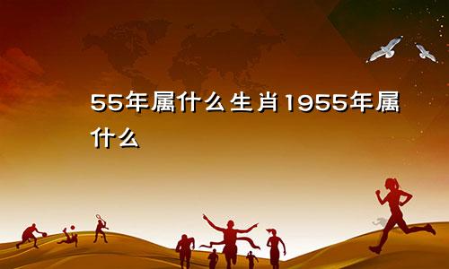 55年属什么生肖1955年属什么