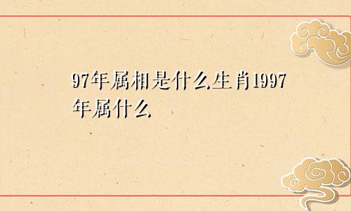 97年属相是什么生肖1997年属什么