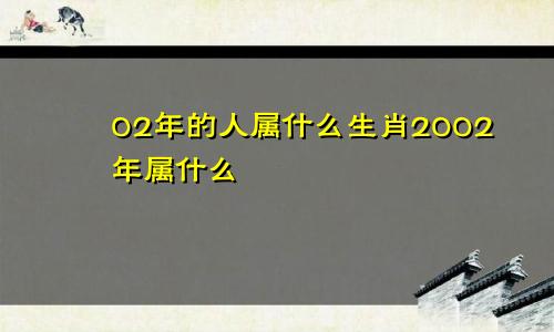 02年的人属什么生肖2002年属什么