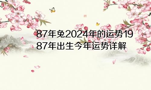 87年兔2024年的运势1987年出生今年运势详解