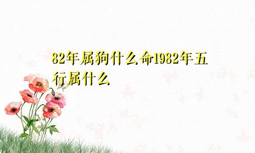 82年属狗什么命1982年五行属什么