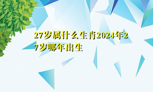 27岁属什么生肖2024年27岁哪年出生