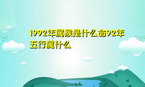 1992年属猴是什么命92年五行属什么