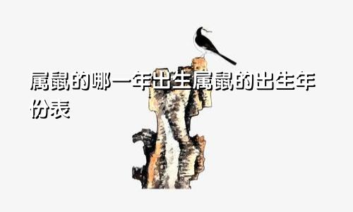 属鼠的哪一年出生属鼠的出生年份表