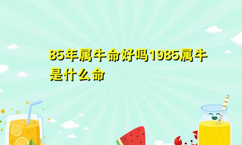 85年属牛命好吗1985属牛是什么命