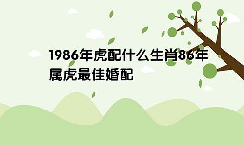 1986年虎配什么生肖86年属虎最佳婚配