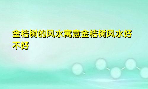 金桔树的风水寓意金桔树风水好不好